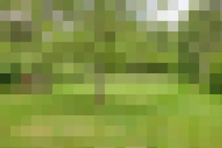 Rammelbroeksweg 1 Rekken thumbnail 58