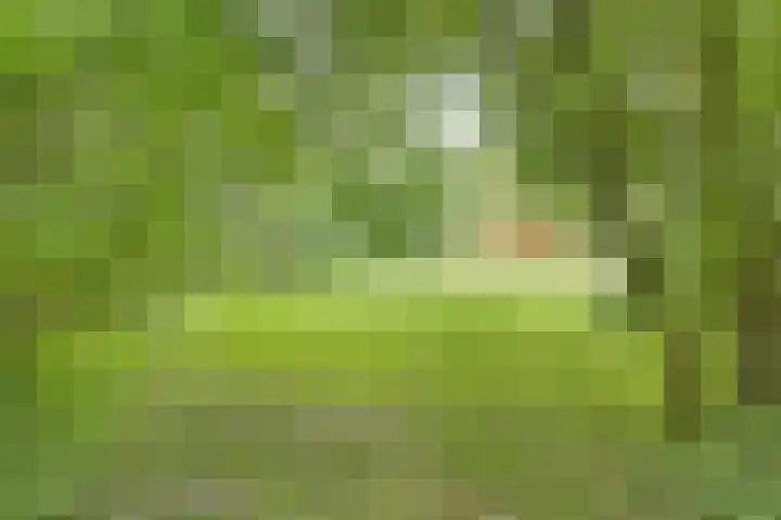 Rammelbroeksweg 1 Rekken thumbnail 62