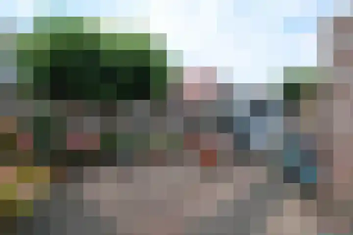 Rammelhuiskamp 19 Bornerbroek thumbnail 6