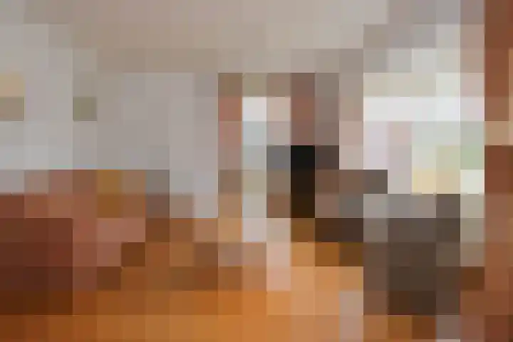 Rammelhuiskamp 19 Bornerbroek thumbnail 8