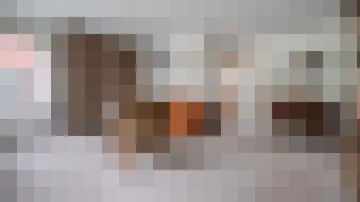 Rammelhuiskamp 26 Bornerbroek thumbnail 6
