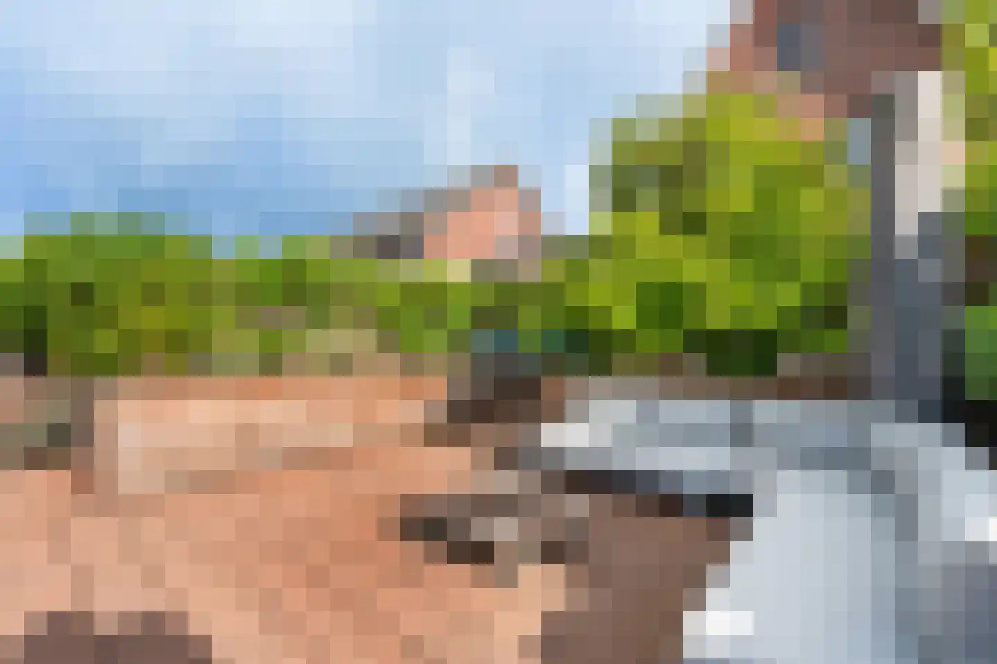 Rammenas 17 Roelofarendsveen thumbnail 16
