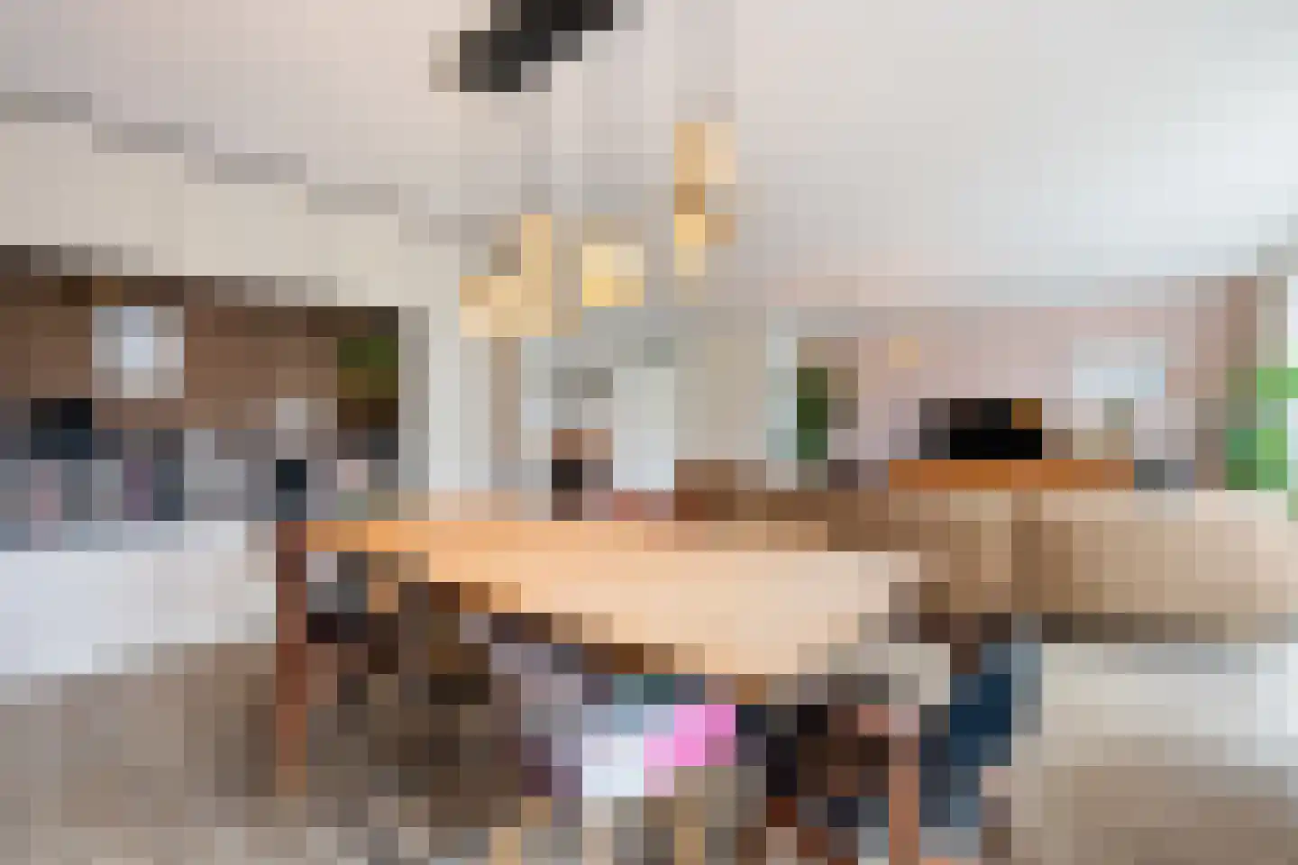 Rammenas 17 Roelofarendsveen thumbnail 25