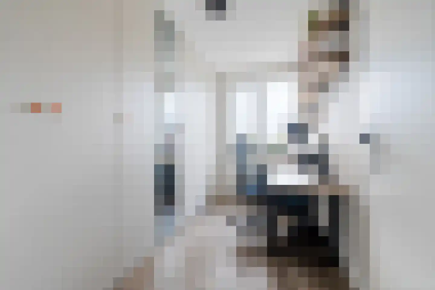 Rammenas 17 Roelofarendsveen thumbnail 35