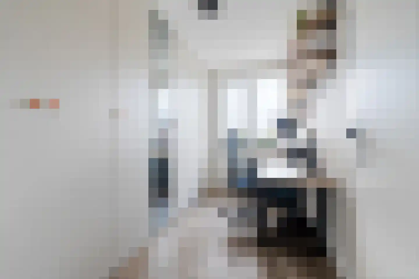 Rammenas 17 Roelofarendsveen thumbnail 35