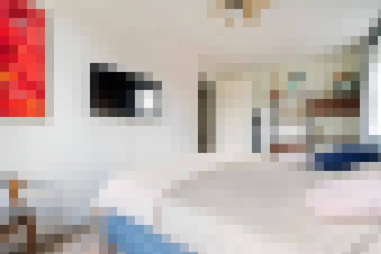 Rammenas 17 Roelofarendsveen thumbnail 39