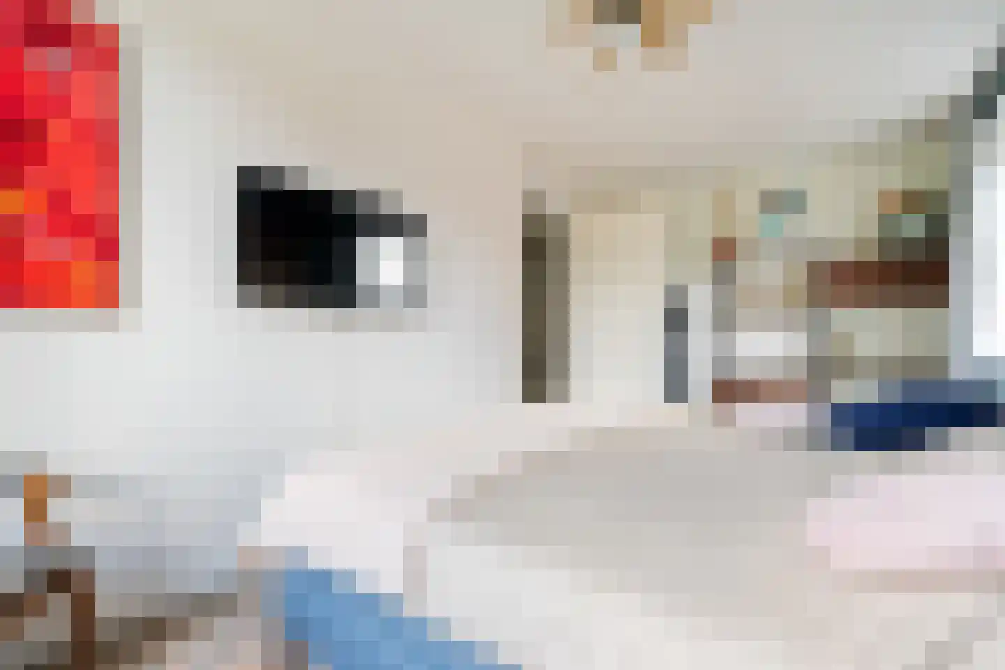 Rammenas 17 Roelofarendsveen thumbnail 39