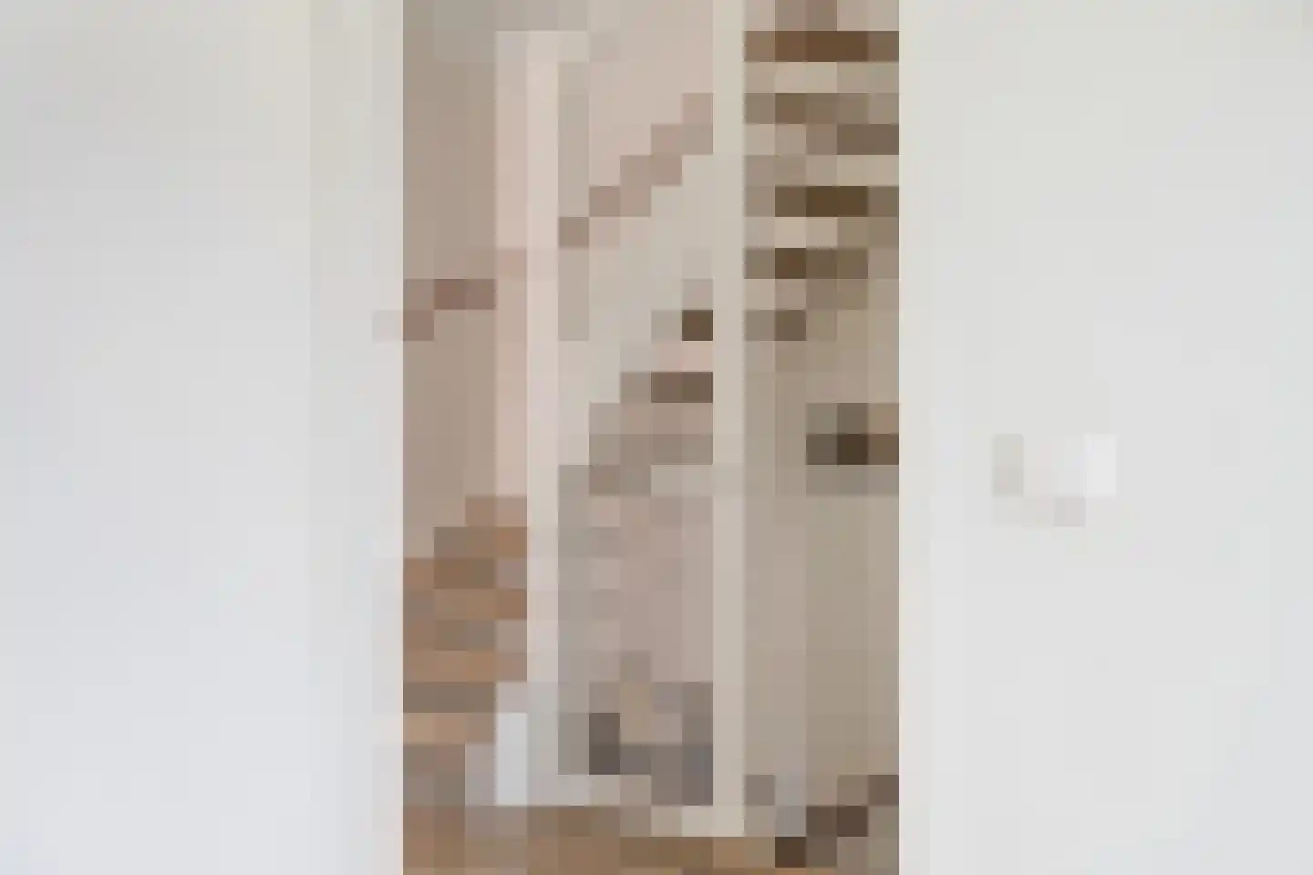 Rammenas 17 Roelofarendsveen thumbnail 41