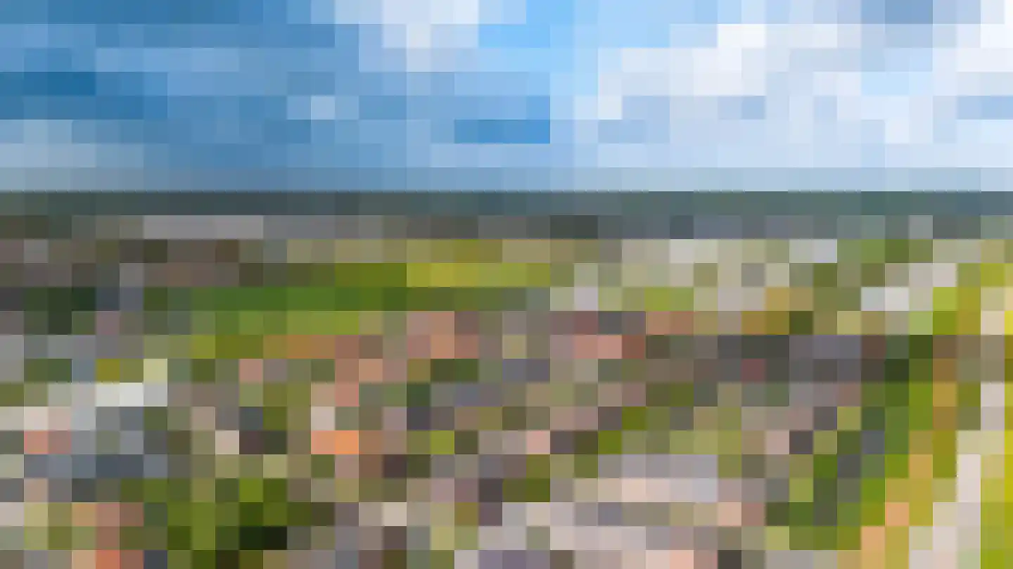 Rammenas 17 Roelofarendsveen thumbnail 60
