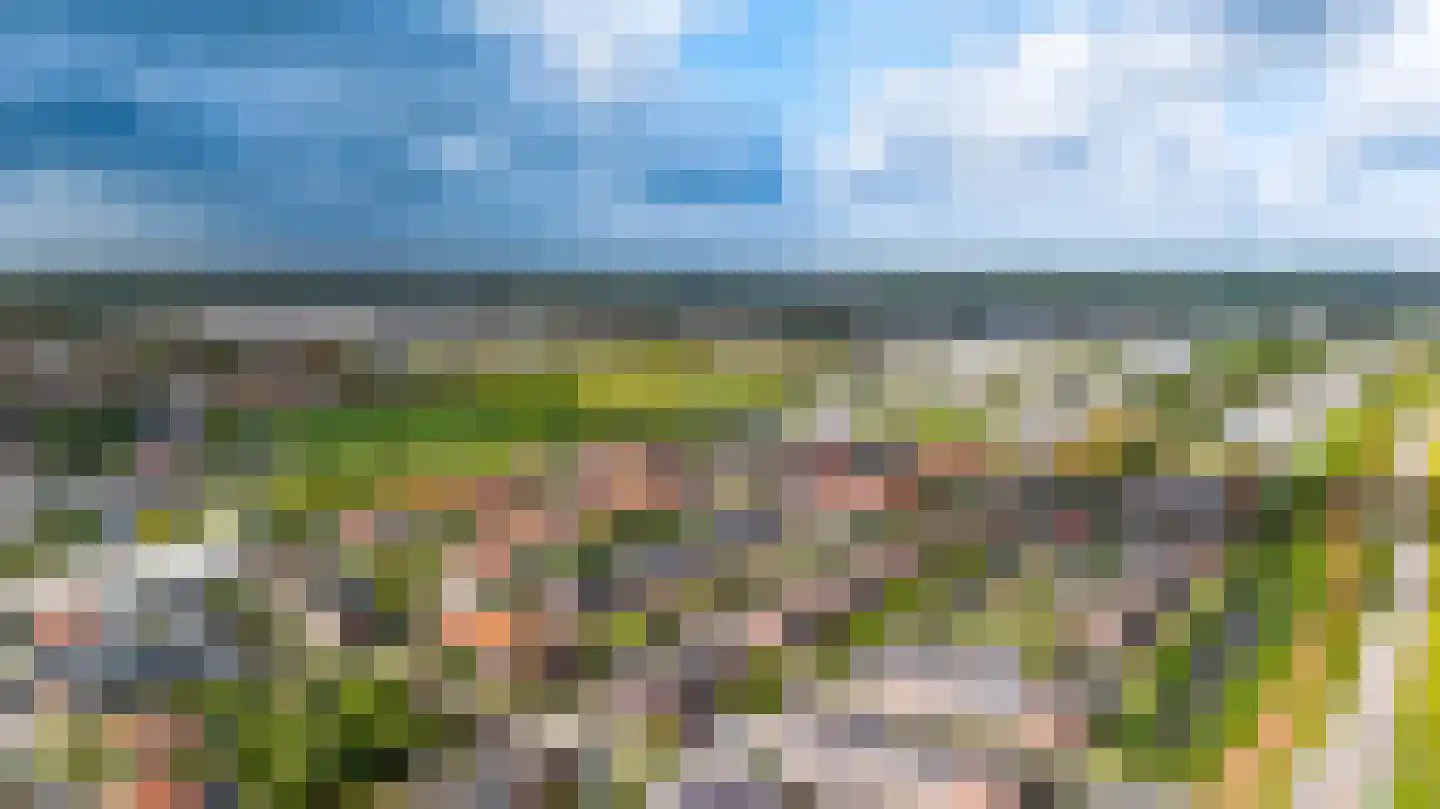 Rammenas 17 Roelofarendsveen thumbnail 60