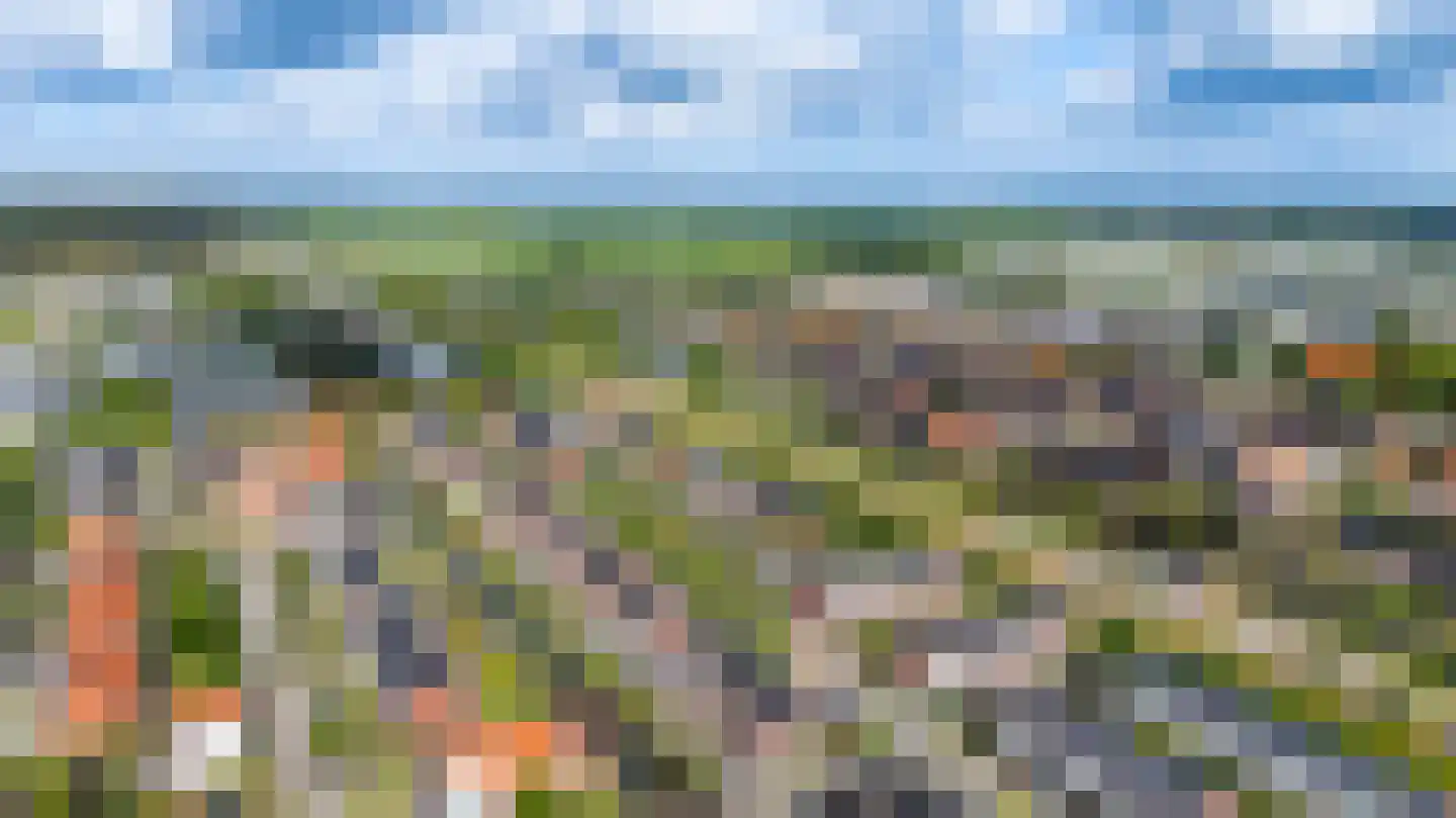 Rammenas 17 Roelofarendsveen thumbnail 61
