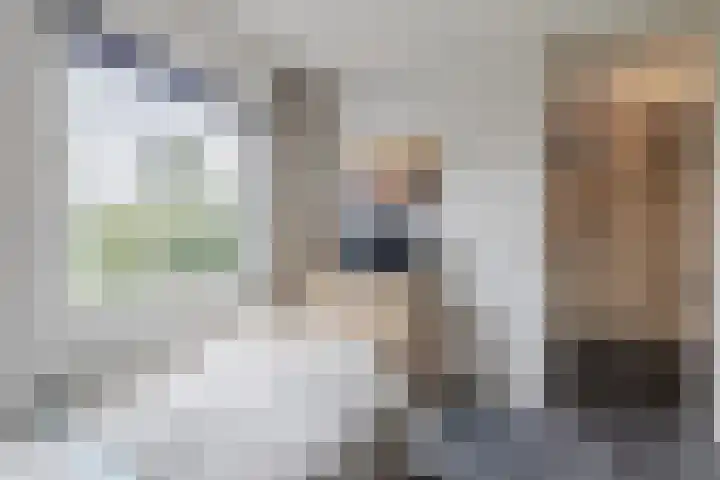 Rammersveld 15 Meppel thumbnail 16