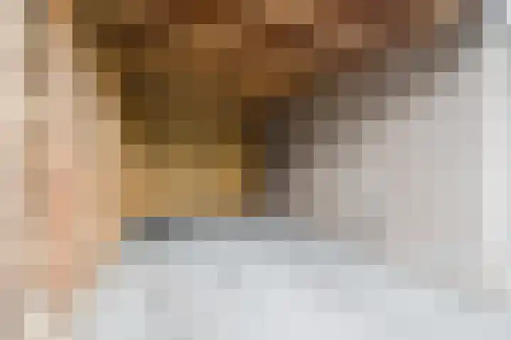 Rammersveld 15 Meppel thumbnail 28