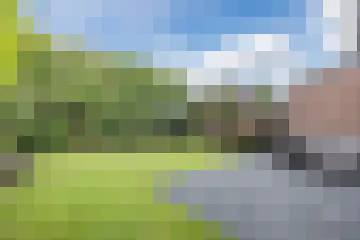 Rammersveld 15 Meppel thumbnail 31