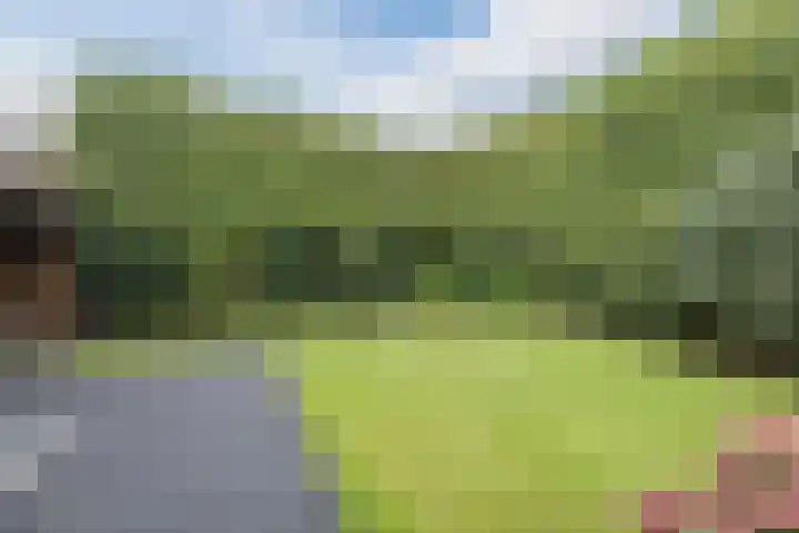 Rammersveld 15 Meppel thumbnail 32