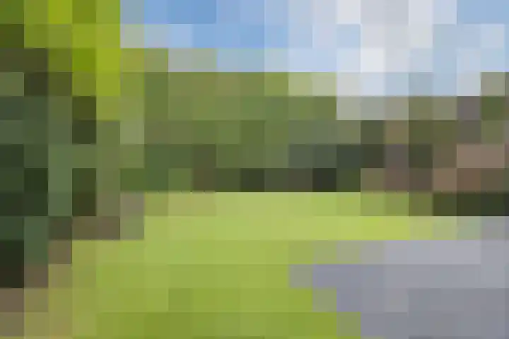 Rammersveld 15 Meppel thumbnail 33