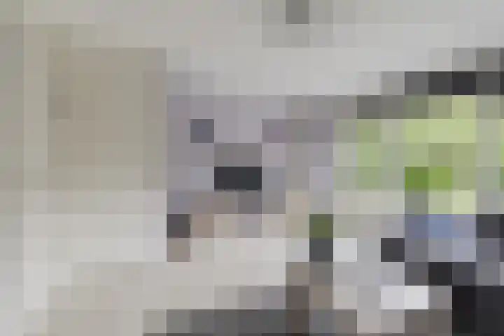 Rammersveld 15 Meppel thumbnail 4