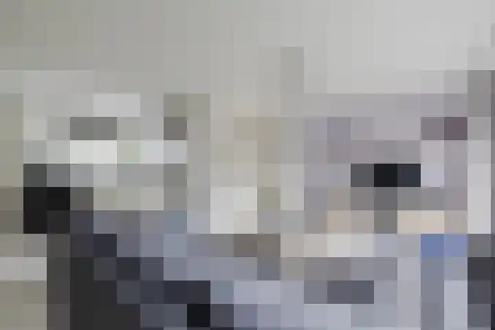Rammersveld 15 Meppel thumbnail 5