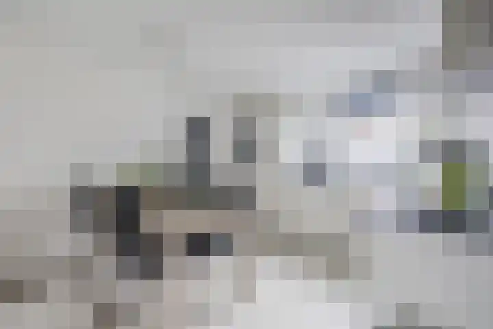 Rammersveld 15 Meppel thumbnail 6