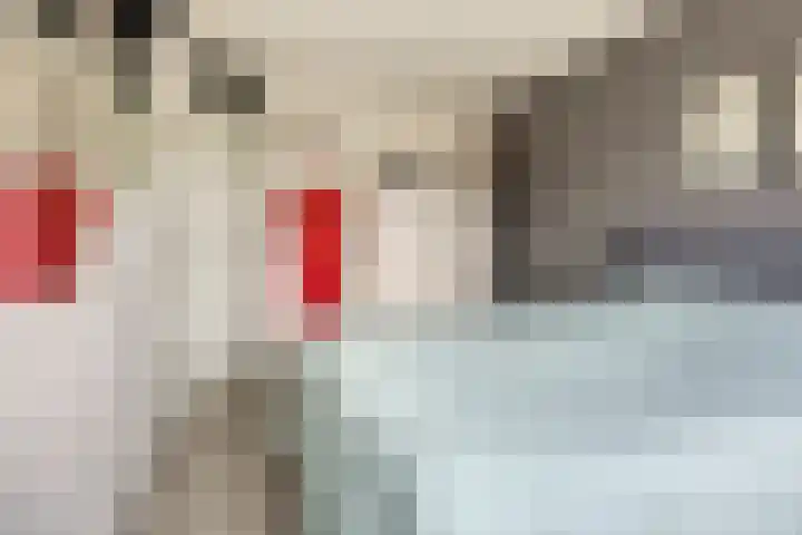 Rammersveld 31 Meppel thumbnail 20