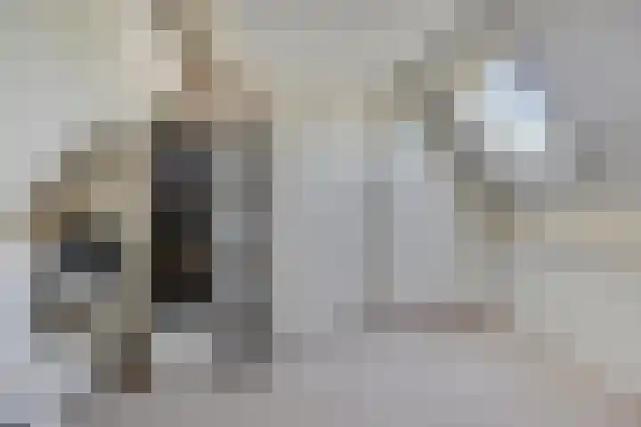 Rammersveld 31 Meppel thumbnail 27