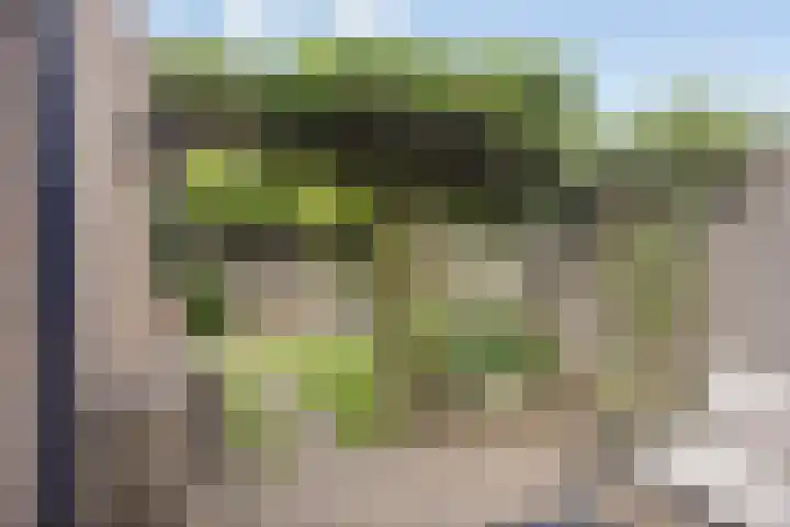 Rammersveld 31 Meppel thumbnail 28