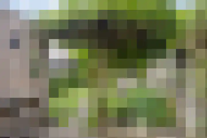 Rammersveld 31 Meppel thumbnail 29