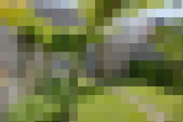 Rammersveld 31 Meppel thumbnail 31