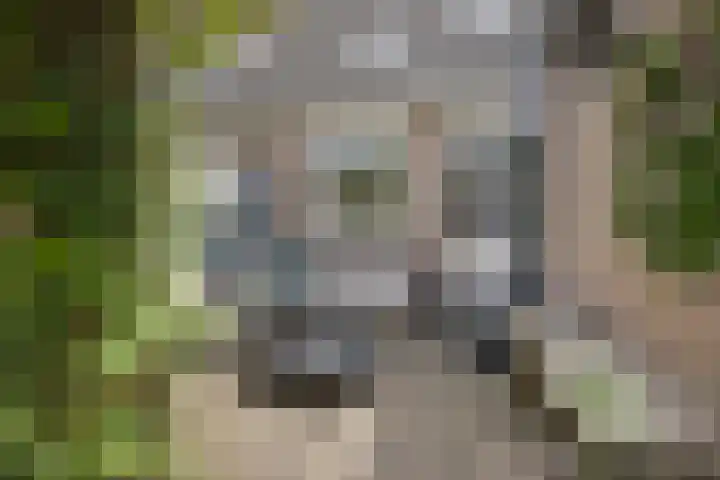 Rammersveld 31 Meppel thumbnail 32