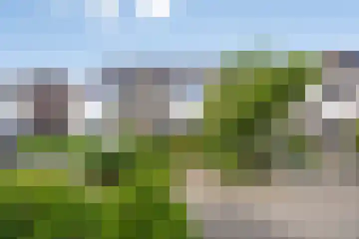 Rammersveld 31 Meppel thumbnail 35