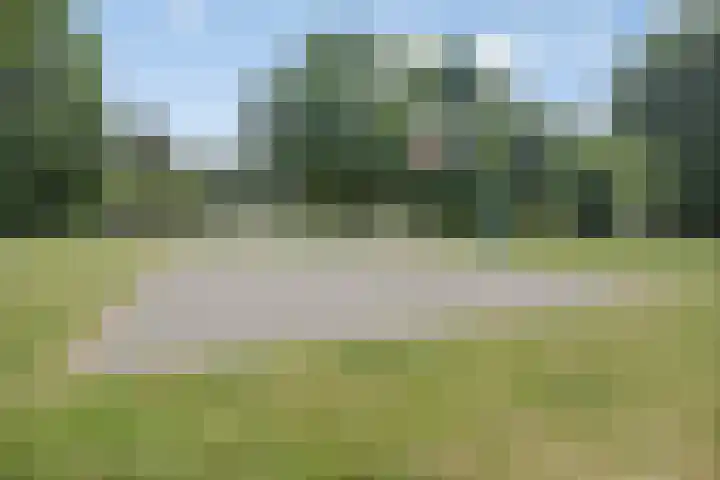 Rammersveld 31 Meppel thumbnail 39