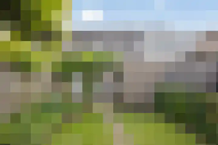 Rammersveld 31 Meppel thumbnail 4