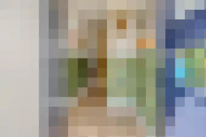 Rammersveld 31 Meppel thumbnail 5
