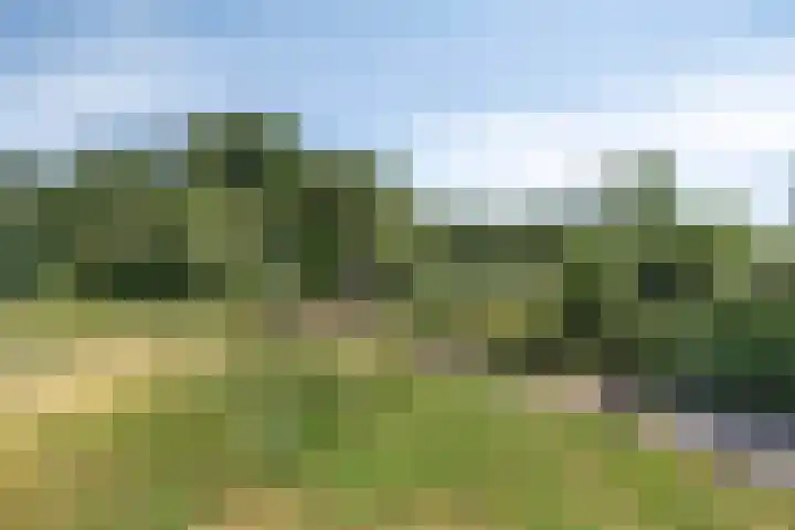 Rammersveld 47 Meppel thumbnail 33