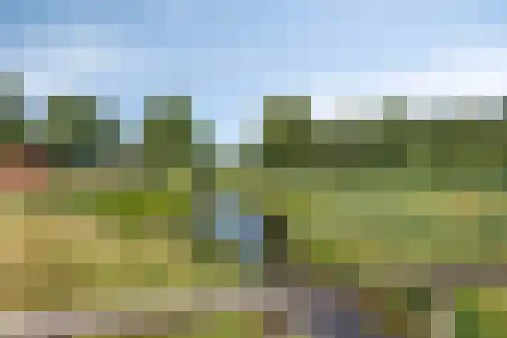 Rammersveld 47 Meppel thumbnail 34
