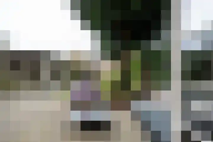 Ramplaan 20 Haarlem thumbnail 18
