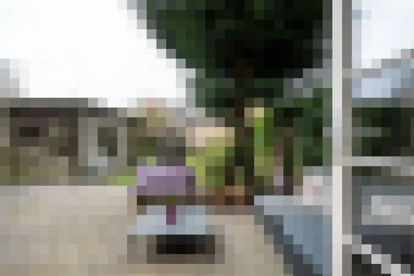Ramplaan 20 Haarlem thumbnail 18