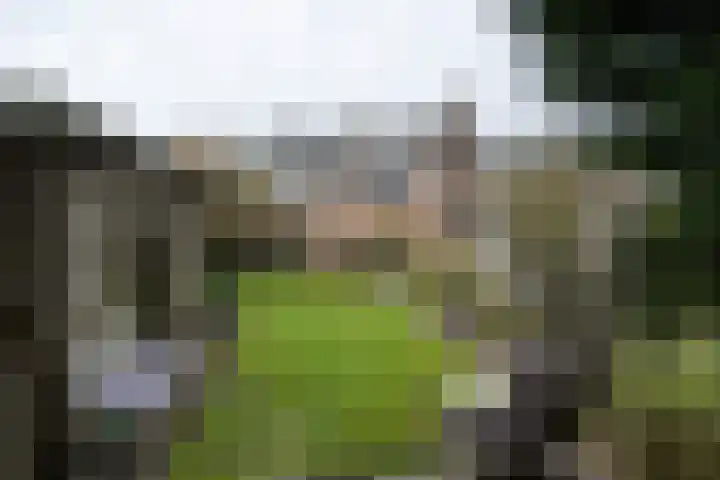 Ramplaan 20 Haarlem thumbnail 19