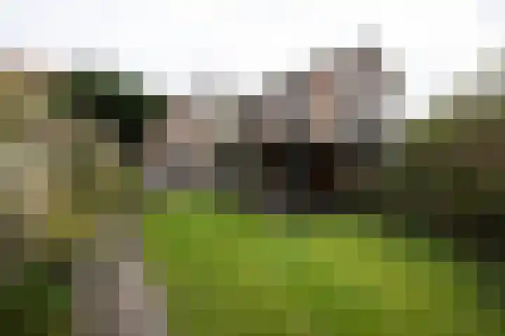 Ramplaan 20 Haarlem thumbnail 22