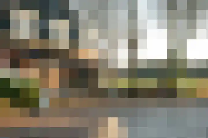 Ramplaan 20 Haarlem thumbnail 33