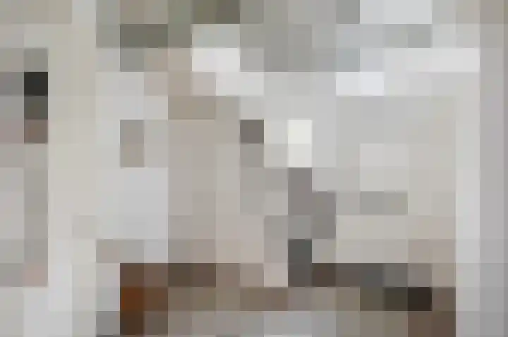 Ramplaan 20 Haarlem thumbnail 5
