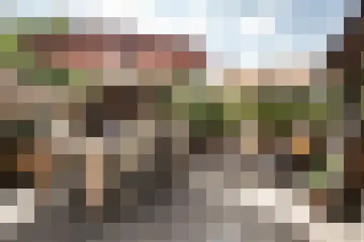 Ramplaan 42 A Haarlem thumbnail 15