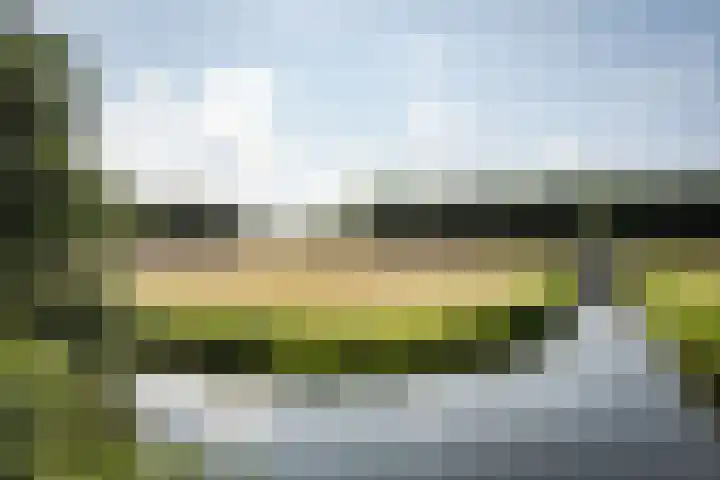 Ramplaan 42 A Haarlem thumbnail 41
