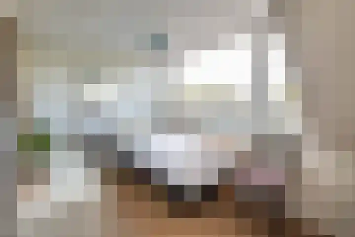 Ramplaan 56 Haarlem thumbnail 27