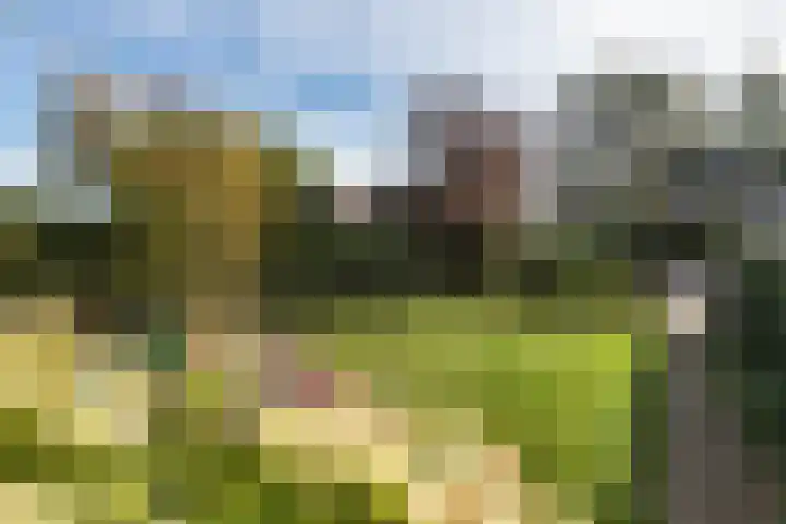 Ramplaan 56 Haarlem thumbnail 31