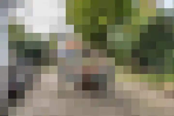 Ramplaan 56 Haarlem thumbnail 32