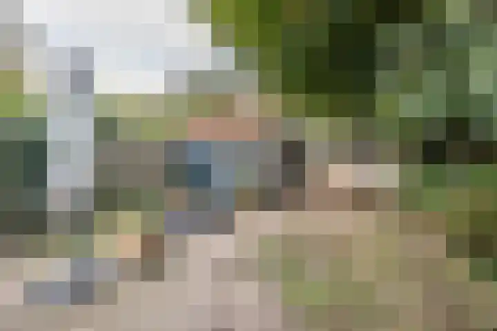 Ramplaan 56 Haarlem thumbnail 33
