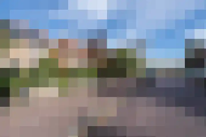 Ramplaan 56 Haarlem thumbnail 36