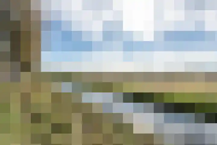 Ramplaan 56 Haarlem thumbnail 39