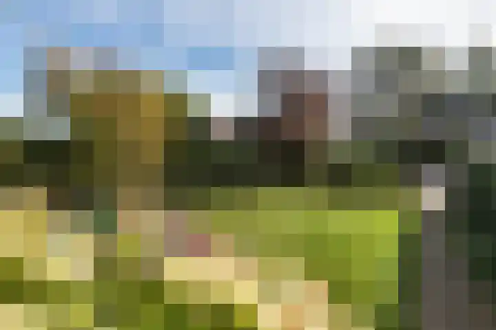 Ramplaan 56 Haarlem thumbnail 4